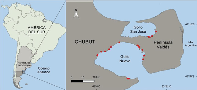Mapa de varamientos de ballenas en Península Valdés