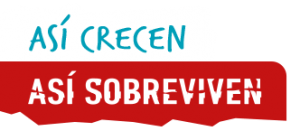 así crecen, así sobreviven