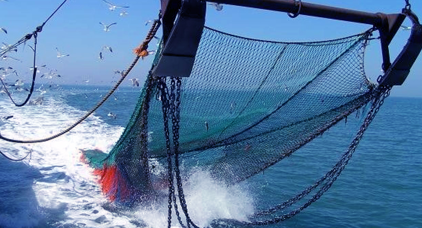 Redes de pesca  Pesca, Redes de pesca, Red de pesca